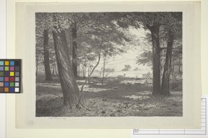 Edge Of The Woods (bläck på papper)