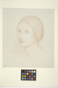 Eleanor (bläck på papper)
