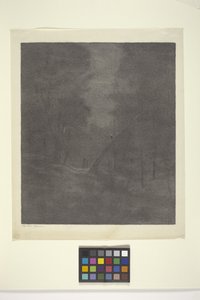 Moonlight Woods (bläck på papper) av Bolton Coit Brown