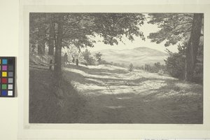 North View (bläck på papper)