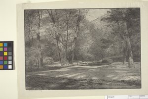 Sierra Woods (bläck på papper)