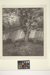 Storm (bläck på papper)