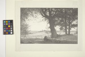 Vandale (bläck på papper) av Bolton Coit Brown
