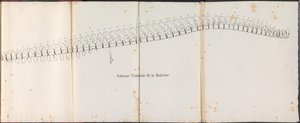 Valens ryggrad, 1827 Colonne Vertébrale de la Baleine (titel på objekt)