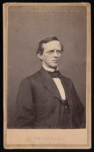 Porträtt av Lyman Trumbull 1813-1896, mellan 1864 och 1868. av Brady