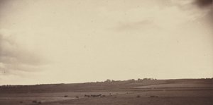 Utsikt över fält med kor,1850-1860-tal (foto) av British Photographer