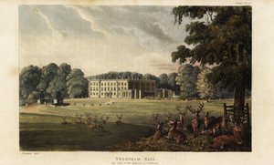 Flock rådjur framför Trentham Hall av British School