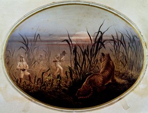 Tigerjakt ledd av den brittiska militären, Storbritannien av British School