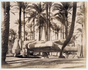 En staty av Memphis ligger i en palmlund i Egypten - fotografi av bröderna Zangali, sent 1800-tal