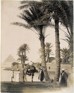 Palmlund vid foten av pyramiderna i Egypten - fotografi av bröderna Zangali, sent 1800-tal