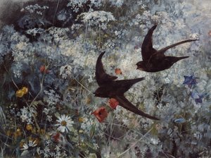 (Vanligt) Swift