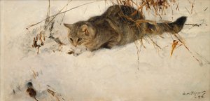 En katt som förföljer en mus i snön