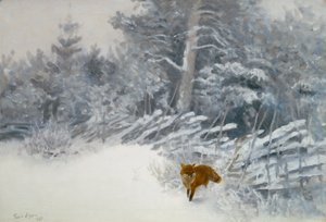 En räv i vinterskogen