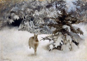 En hare i snön