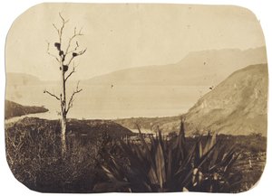 Lake and Mount Tarawera från Te Wairoa, 1860 (albumintryck) av Bruno Hamel