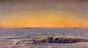 Soluppgång, 1896 av Bruno Andreas Liljefors