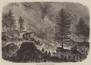 Great Fire in the Forest of Fontainebleau 