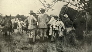 General Lawton lär sig av kubanska officerare...30 juni, spansk-amerikanska kriget, 1898, 1899. av Burr McIntosh