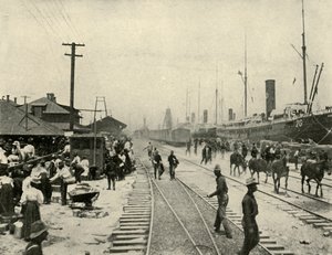 Frigivna fångar, spansk-amerikanska kriget, juni 1898, 1899. av Burr McIntosh