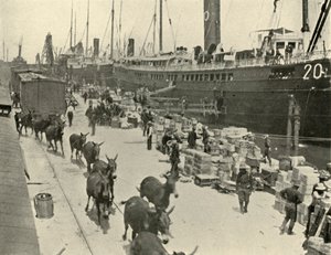 Truppskepp i Port Tampa, Florida, USA, spansk-amerikanska kriget, 10 juni 1898, 1899.