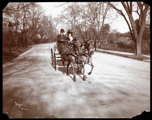 Anna Held och Florenz Ziegfeld kör en häst och vagn, New York, 1904 (silvergelatintryck)