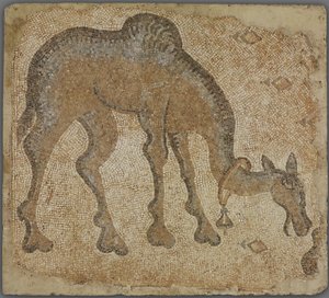 Mosaikfragment med betande kamel av Byzantine