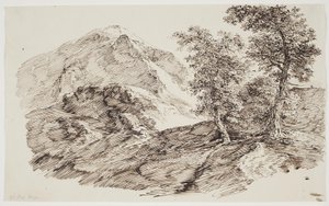 Berglandskap med träd av C.F. von Rumohr