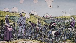 Våra vinodlare skördade under eld, skörden i regionen Champagne 1914, första världskriget, Frankrike, 1900-talet av J.B. and Brown J. Rowbotham