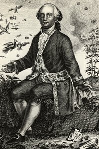 Porträtt av Georges-Louis Leclerc de Buffon (1707-1788), fransk naturforskare och matematiker, gravyr av J.B. and Brown J. Rowbotham