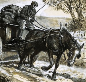 Hästarna var undernärda och överansträngda av C.L. Doughty