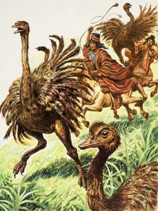 Rheas (gouache på papper) av C.L. Doughty