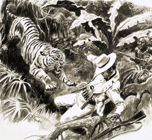Tiger attackerar jägare