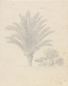 Palmträd och blad grupp av Christoffer Wilhelm Eckersberg