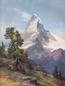 "Matterhornet från Riffelberg", 1917 av C Angerer and Goschl