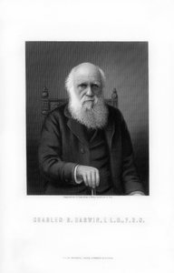 Charles Darwin, brittisk naturforskare, 1899.