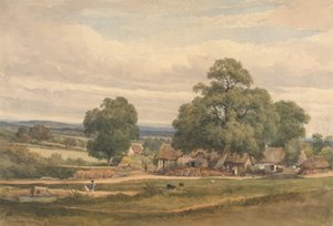 Emerey Down nära Lyndhurst, New Forest, Hants av C. John M. Whichelo