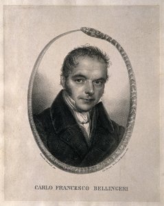 Carlo Francesco Bellingeri. Litografi efter Camilla Gandolfi, 1839. Biografi på italienska