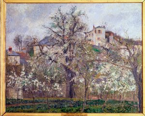 Vår, plommon blommar i Pontoise - olja på duk av Camille Jacob Pissarro