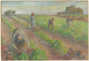 The Beet Harvest, 1881 (gouache över grafit på linne) av Camille Jacob Pissarro