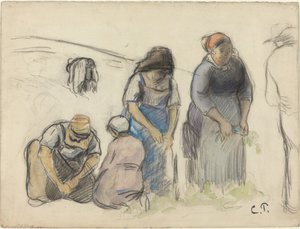 Ärtskördare [recto], ca. 1880. av Camille Pissarro