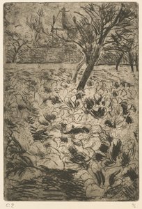 Kålfältet av Camille Pissarro