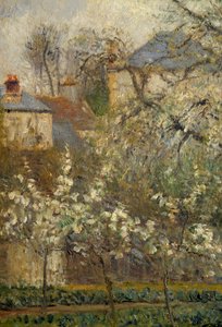 Grönsaksträdgård och träd som blommar på våren i Pontoise av Camille Jacob Pissarro