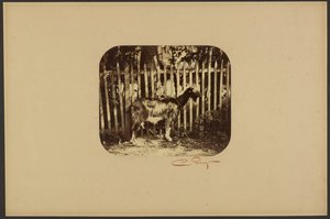 [Get] av Camille Silvy