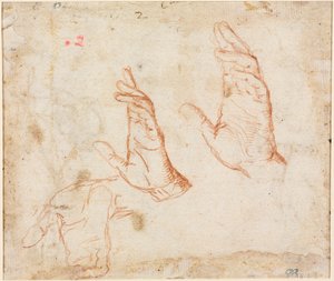Study of Hands (verso) av Camillo Procaccini