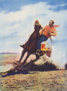 Cowboy som gör ett snabbt stopp med sin häst (färgfoto)