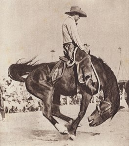 Cowboy rider på en bockande bronco (svartvitt foto)