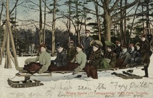 Kälkåkning, High Park, Toronto, Kanada (färgfoto) av Canadian Photographer