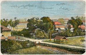 Tonga, c1885 av Canedi Barberis