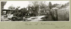 Getsemane trädgård, 14 december 1917 av Capt. Arthur Rhodes