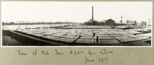 Utsikt över Nilen från N.Z.M.F.A. Högkvarter, Kairo, juni 1917 av Capt. Arthur Rhodes